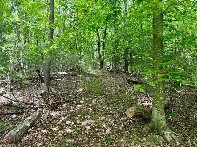 0000 Ashe View Drive, Millers Creek, NC 28651