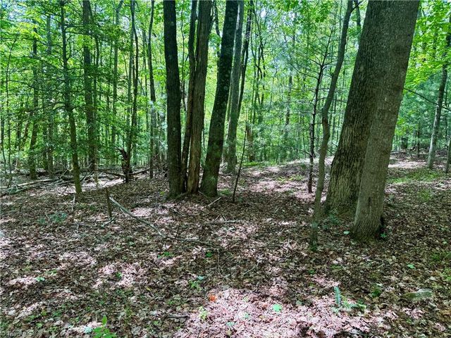 0000 Ashe View Drive, Millers Creek, NC 28651