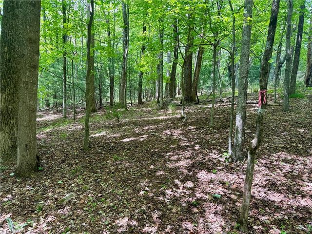 0000 Ashe View Drive, Millers Creek, NC 28651