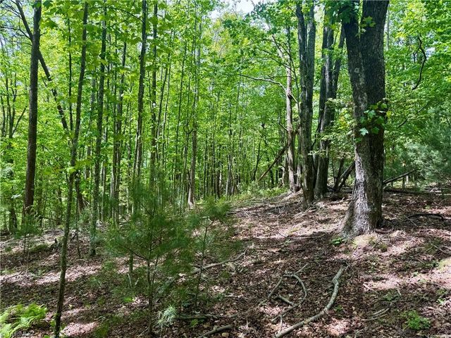 0000 Ashe View Drive, Millers Creek, NC 28651