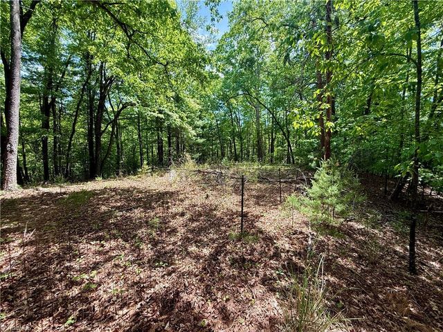 0000 Ashe View Drive, Millers Creek, NC 28651