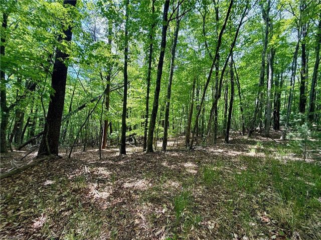 0000 Ashe View Drive, Millers Creek, NC 28651