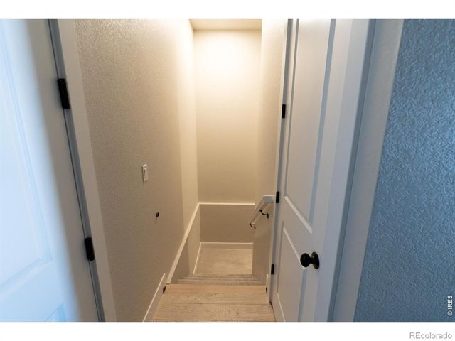 6242 Vernazza Way 4, Windsor, CO 80550