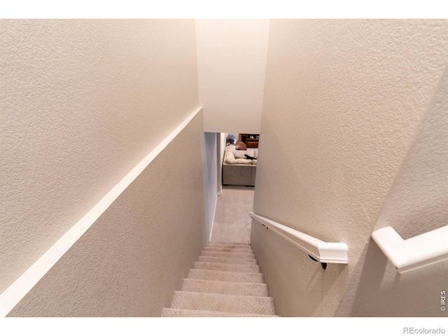 6242 Vernazza Way 4, Windsor, CO 80550