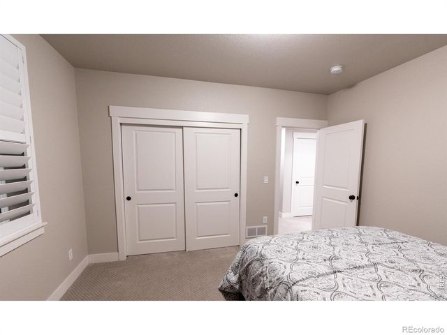 6242 Vernazza Way 4, Windsor, CO 80550