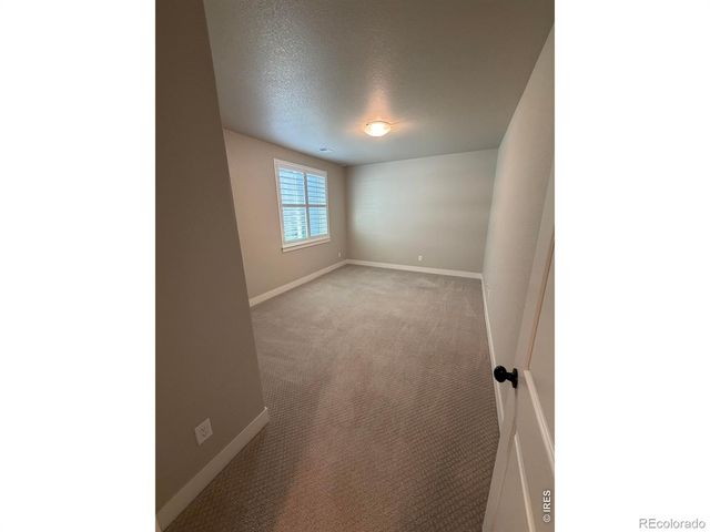 6242 Vernazza Way 4, Windsor, CO 80550