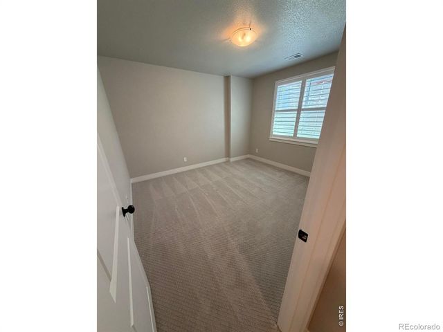 6242 Vernazza Way 4, Windsor, CO 80550