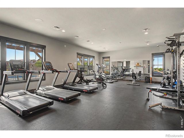 6242 Vernazza Way 4, Windsor, CO 80550