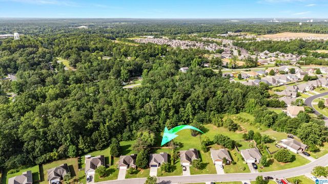 117 RENWICK LANE, Calera, AL 35040
