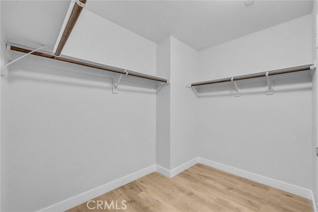 50 Hedge Bloom, Irvine, CA 92618