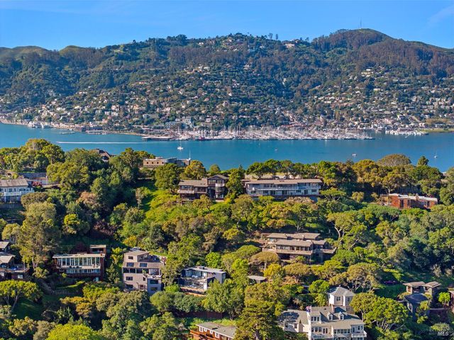 138 Madrona Ave, Belvedere, CA 94920