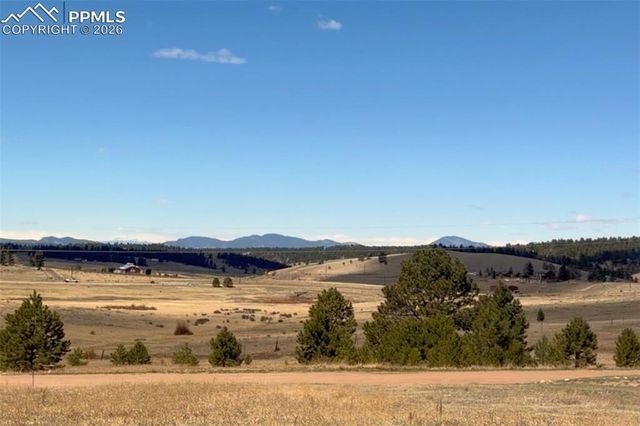 301 E Longbow Drive, Divide, CO 80814