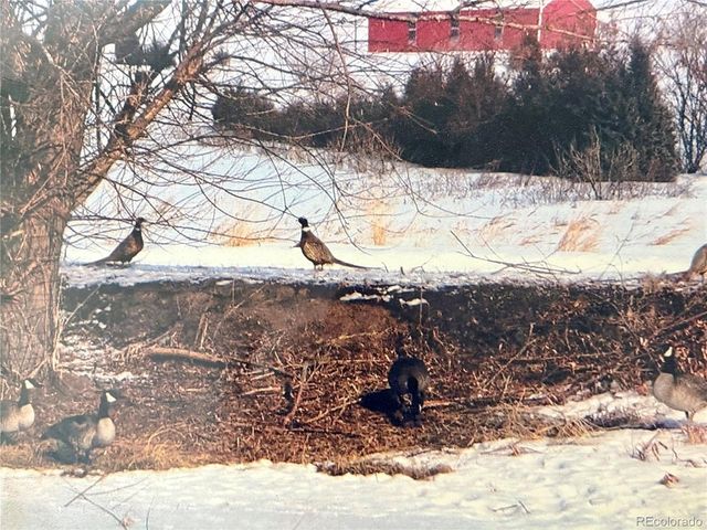 15000 County Road 8, Fort Lupton, CO 80621