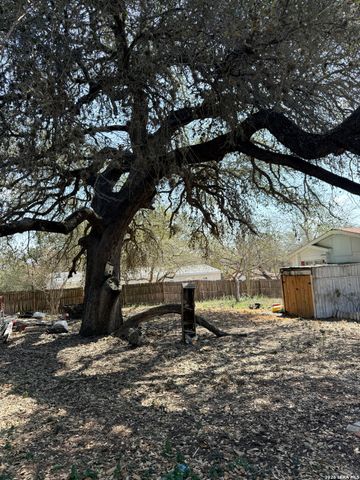 22906 skila, Elmendorf, TX 78112