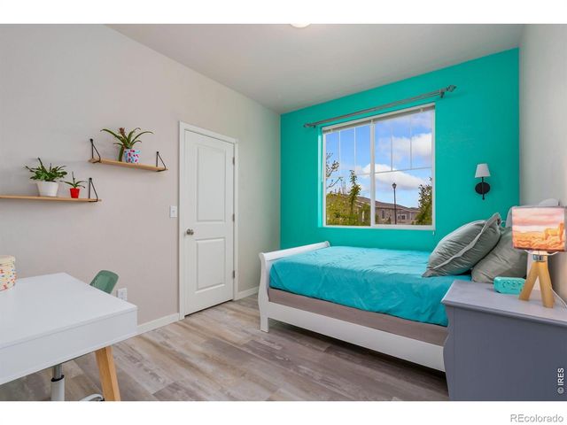 3814 Hackberry Street, Wellington, CO 80549