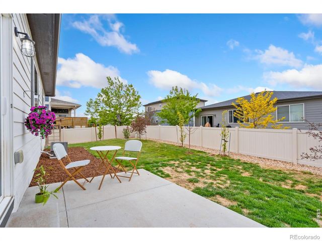 3814 Hackberry Street, Wellington, CO 80549
