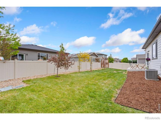 3814 Hackberry Street, Wellington, CO 80549
