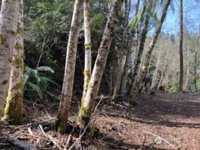 61 E woods Place, Belfair, WA 98528