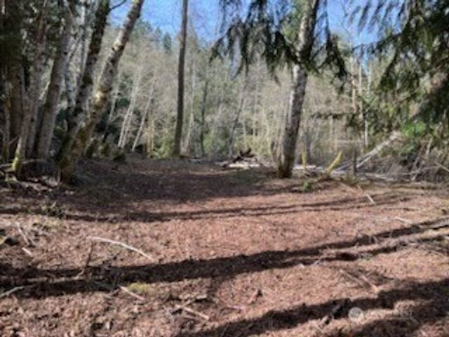 61 E woods Place, Belfair, WA 98528