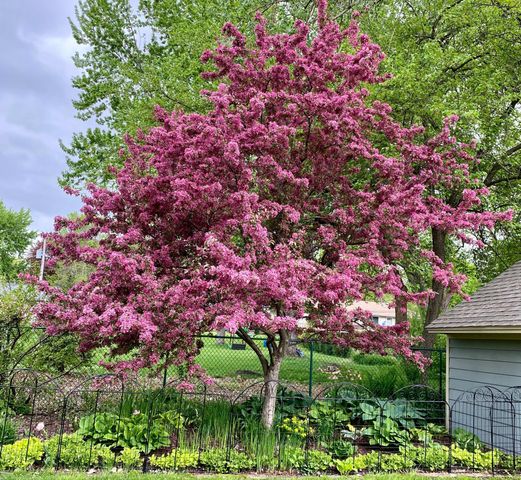 1988 Eldridge Avenue W, Roseville, MN 55113