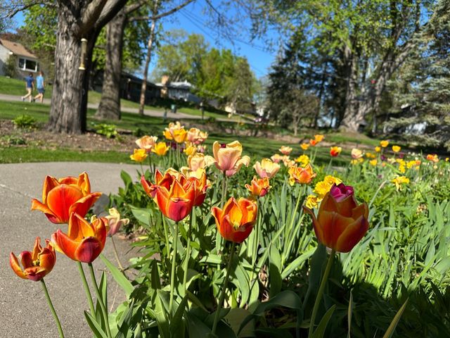 1988 Eldridge Avenue W, Roseville, MN 55113