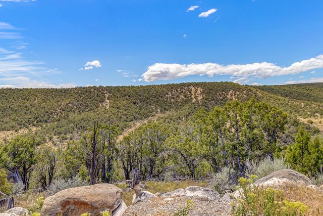 26986 Cactus Park Road, Cedaredge, CO 81413