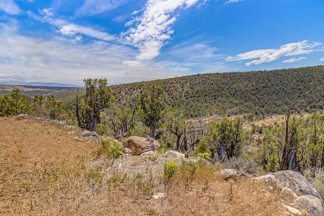 26986 Cactus Park Road, Cedaredge, CO 81413