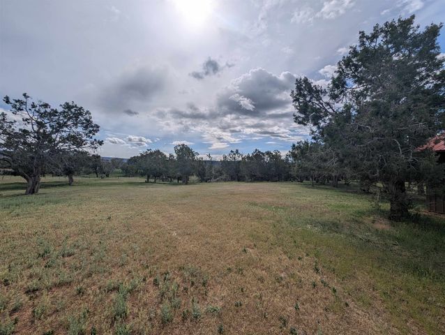 26986 Cactus Park Road, Cedaredge, CO 81413