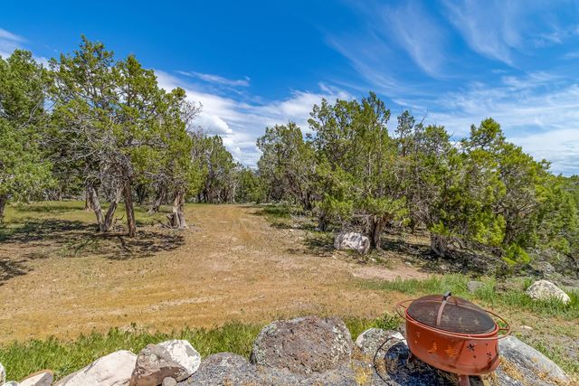 26986 Cactus Park Road, Cedaredge, CO 81413