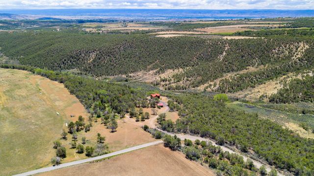 26986 Cactus Park Road, Cedaredge, CO 81413
