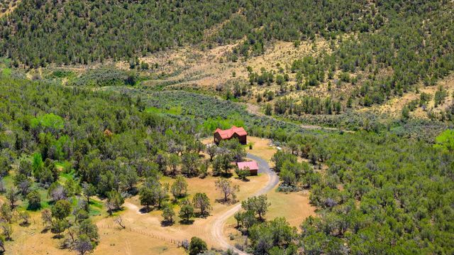 26986 Cactus Park Road, Cedaredge, CO 81413