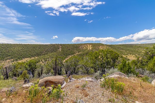 26986 Cactus Park Road, Cedaredge, CO 81413