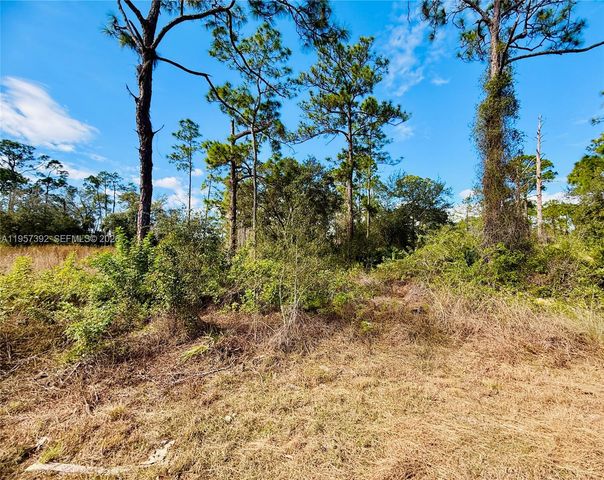 2007 Truman Ave, Other City - In The State Of Florida, FL 33920