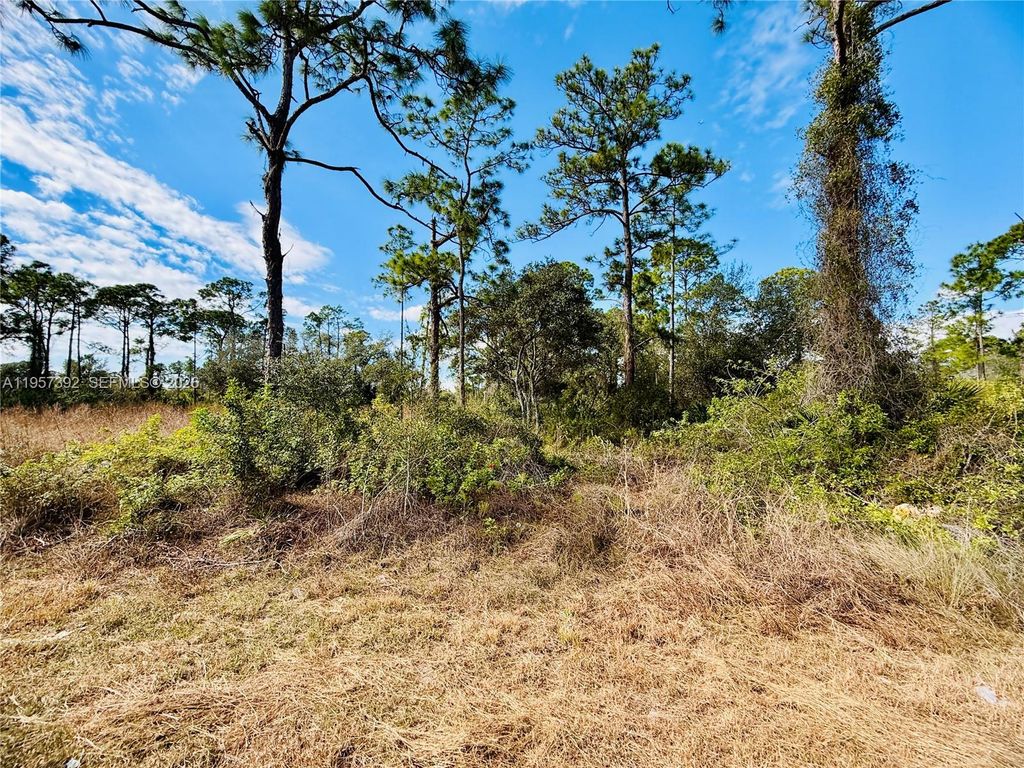 2007 Truman Ave, Other City - In The State Of Florida, FL 33920