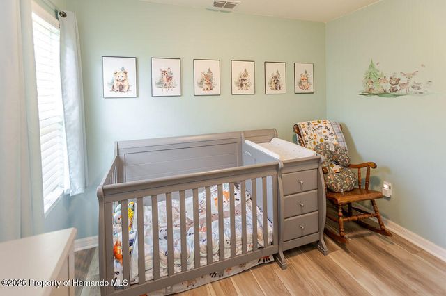12307 Millington Avenue, Weeki Wachee, FL 34614