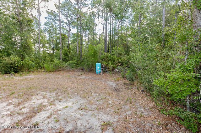 12307 Millington Avenue, Weeki Wachee, FL 34614