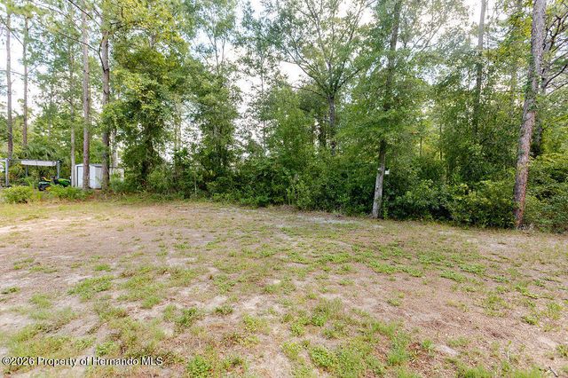 12307 Millington Avenue, Weeki Wachee, FL 34614