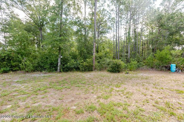 12307 Millington Avenue, Weeki Wachee, FL 34614