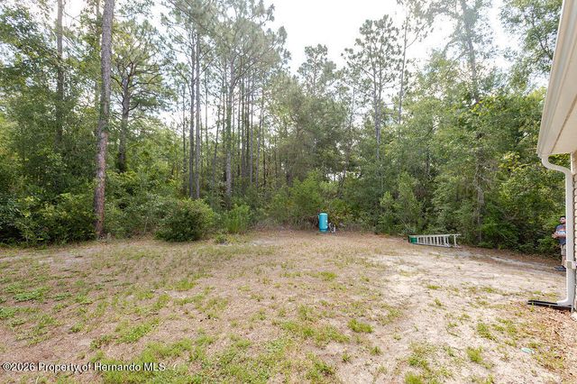 12307 Millington Avenue, Weeki Wachee, FL 34614