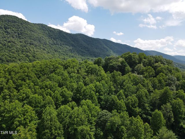 1528 Irondale Road, Big Stone Gap, VA 24219