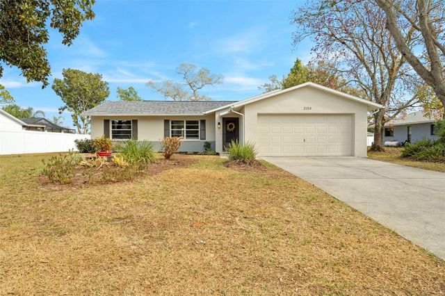 3124 DOTHAN AVENUE, Spring Hill, FL 34609