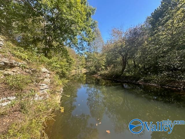 414 County Road 635, Mentone, AL 35984