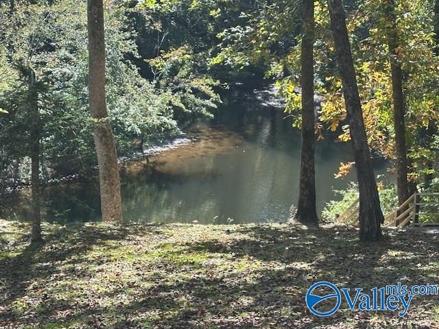 414 County Road 635, Mentone, AL 35984