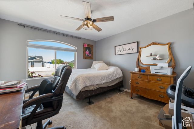 3712 N 250 E, Enoch, UT 84721