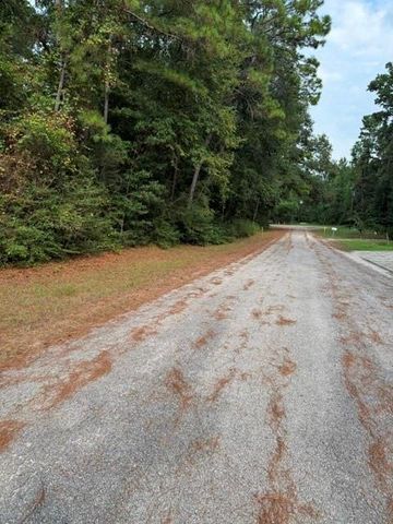 0 Tbd Little John Circle, Hockley, TX 77447