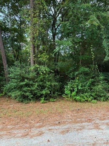 0 Tbd Little John Circle, Hockley, TX 77447
