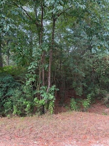 0 Tbd Little John Circle, Hockley, TX 77447