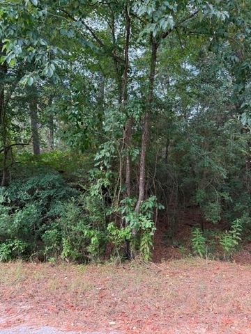 0 Tbd Little John Circle, Hockley, TX 77447