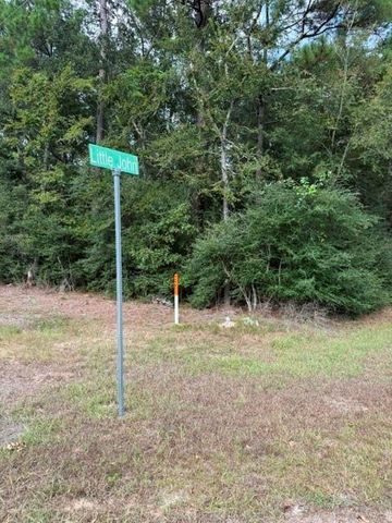 0 Tbd Little John Circle, Hockley, TX 77447