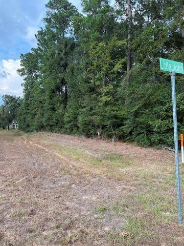 0 Tbd Little John Circle, Hockley, TX 77447
